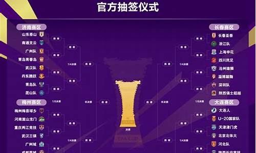 足协杯2015赛程_2015足协杯决赛首发